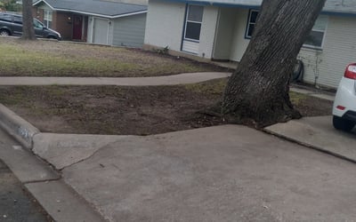 Photo of Andrew H.'s yard after getting landscaping in Mc Dade, TX