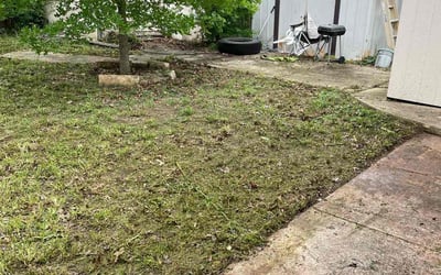 Photo of Ruby G.'s yard after getting landscaping in Waring, TX