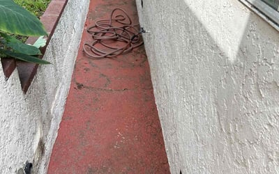 Photo of Alex B.'s yard after getting landscaping in Venice, CA