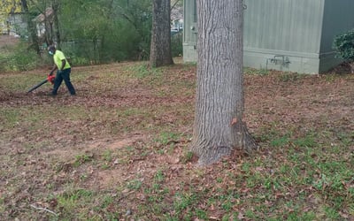 Photo of Aaron B.'s yard after getting landscaping in Haralson, GA