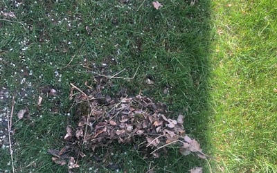 Photo of David L.'s yard after getting landscaping in Maineville, OH