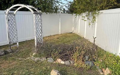 Photo of Lisa C.'s yard after getting landscaping in La Habra, CA