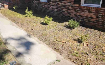 Photo of Jennifer N.'s yard after getting landscaping in West Point, VA
