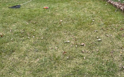 Photo of Stephen R.'s yard after getting landscaping in Troy, OH