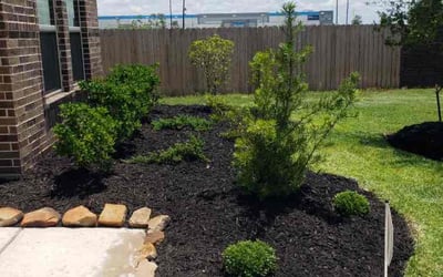 Photo of Paul D.'s yard after getting landscaping in Danbury, TX