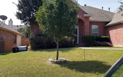 Photo of Clariece J.'s yard after getting landscaping in Lipan, TX