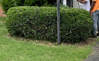 Photo of Michael G.'s yard after getting landscaping in Wilsons, VA