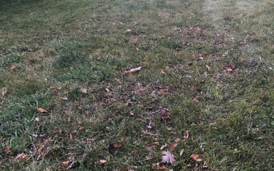 Photo of Katrina M.'s yard after getting landscaping in American Fork, UT