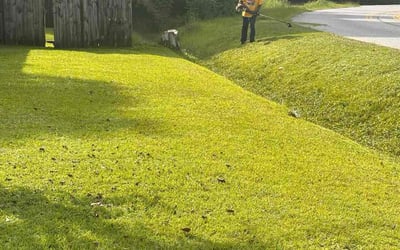 Photo of Allen J.'s yard after getting tree care in Summerville, SC