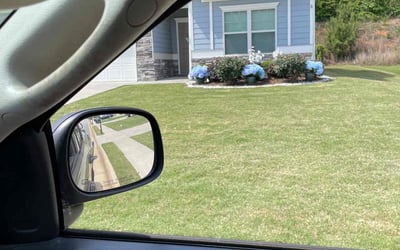 Photo of Pamela B.'s yard after getting landscaping in Cartersville, GA