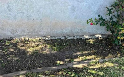 Photo of Angela T.'s yard after getting landscaping in Canoga Park, CA