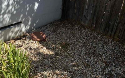 Photo of Tom R.'s yard after getting landscaping in Foresthill, CA