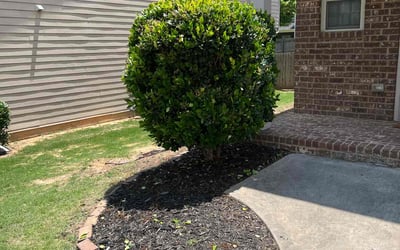 Photo of Ishy M.'s yard after getting tree care in Atlanta, GA