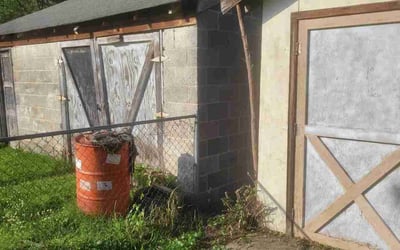 Photo of Sheila, J.'s yard after getting tree care in Henrico, VA