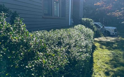 Photo of Vanessa S.'s yard after getting landscaping in Boxford, MA