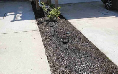 Photo of David T.'s yard after getting landscaping in Arnold, MD