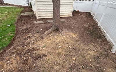 Photo of Chris C.'s yard after getting landscaping in Olney, MD