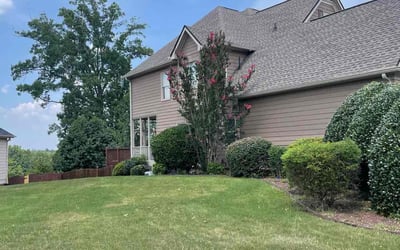 Photo of Steven W.'s yard after getting tree care in Woodstock, GA