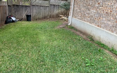 Photo of Chris S.'s yard after getting landscaping in Staples, TX