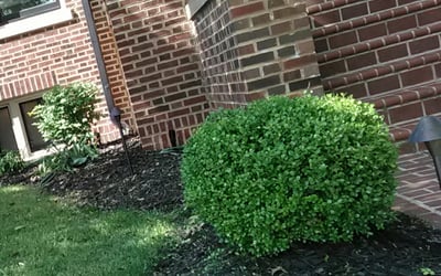 Photo of Chad S.'s yard after getting landscaping in Saint Peters, MO