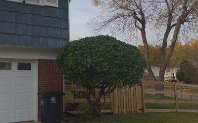 Photo of Quincy J.'s yard after getting landscaping in Aquasco, MD
