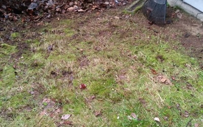 Photo of Mark K.'s yard after getting landscaping in Carnation, WA