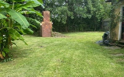 Photo of Tiffany B.'s yard after getting landscaping in Breaux Bridge, LA