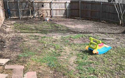 Photo of Megan M.'s yard after getting landscaping in Rockwall, TX