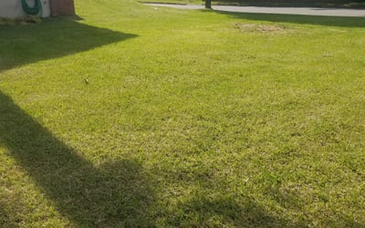 Photo of David T.'s yard after getting landscaping in Shawboro, NC