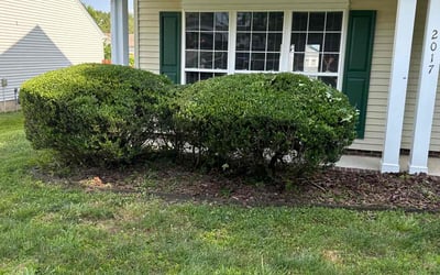 Photo of Demeka G.'s yard after getting tree care in Rock Hill, SC