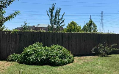 Photo of Judy H.'s yard after getting landscaping in Dayton, TX