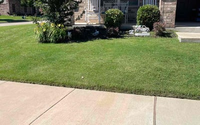 Photo of Karen L.'s yard after getting landscaping in Denton, TX