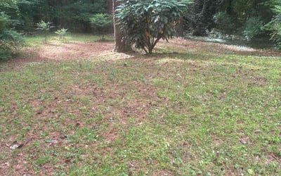 Photo of Laura W.'s yard after getting landscaping in Durham, NC