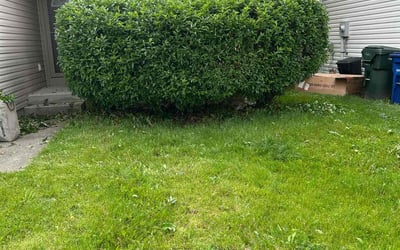 Photo of David W.'s yard after getting landscaping in Canal Winchester, OH