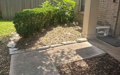 Photo of Josh P.'s yard after getting landscaping in Austin, TX