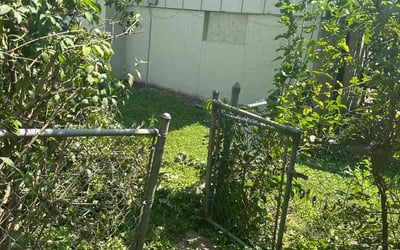 Photo of Karen S.'s yard after getting landscaping in Sibley, MO