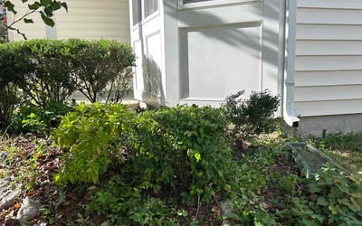 Photo of William B.'s yard after getting landscaping in Wilsons Mills, NC