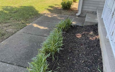 Photo of Joy P.'s yard after getting landscaping in Mount Juliet, TN