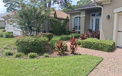 Photo of Enrique C.'s yard after getting tree care in Jacksonville, FL