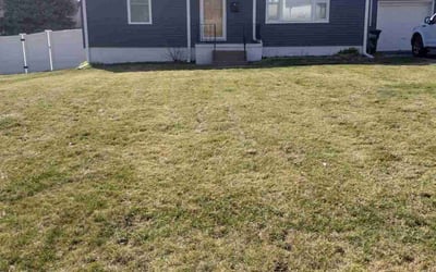 Photo of Steven C.'s yard after getting landscaping in Plattsmouth, NE