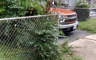 Photo of Matthew W.'s yard after getting landscaping in Faulkner, MD
