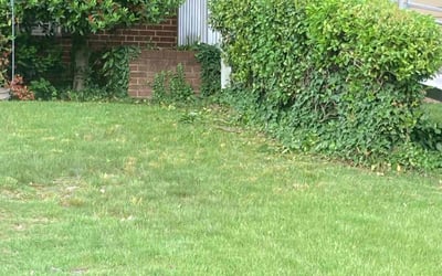 Photo of Chandra W.'s yard after getting landscaping in Hamilton, VA