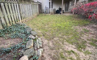 Photo of Megan C.'s yard after getting tree care in Takoma Park, MD