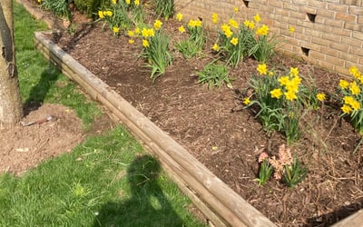 Photo of Patricia M.'s yard after getting landscaping in New Windsor, MD