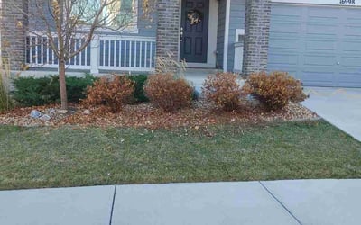 Photo of Charles S.'s yard after getting landscaping in Eastlake, CO
