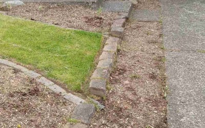 Photo of Guen M.'s yard after getting landscaping in Tualatin, OR