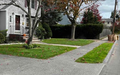 Photo of Rohit R.'s yard after getting lawn care in Natick, MA