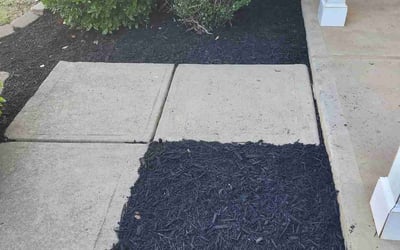 Photo of Amr A.'s yard after getting landscaping in Mc Connells, SC