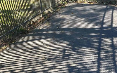 Photo of Cathy F.'s yard after getting landscaping in Chadds Ford, PA