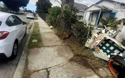 Photo of Larry C.'s yard after getting tree care in Bakersfield, CA
